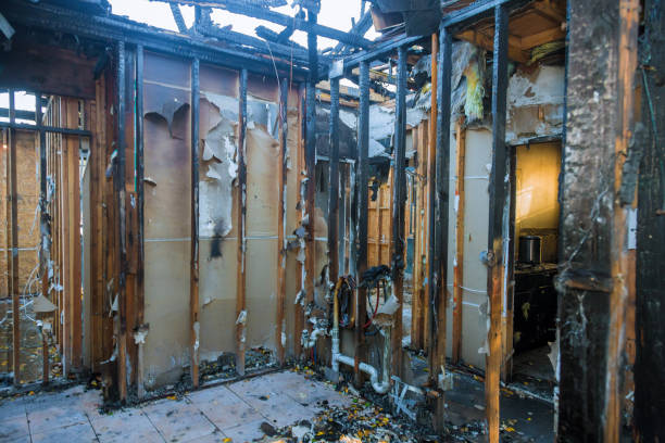 Professional Fire Damage Removal technician working in Washington, MO